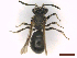  ( - IRBI_Imagho_BO5)  @11 [ ] CreativeCommons  Attribution Non-Commercial Share-Alike (2022) Lorène Marchal IRBI