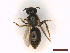  ( - IRBI_Imagho_CJ9)  @11 [ ] CreativeCommons  Attribution Non-Commercial Share-Alike (2022) Lorène Marchal IRBI