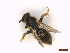  ( - IRBI_Imagho_CP3)  @11 [ ] CreativeCommons  Attribution Non-Commercial Share-Alike (2022) Lorène Marchal IRBI