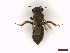  ( - IRBI_Imagho_CP7)  @11 [ ] CreativeCommons  Attribution Non-Commercial Share-Alike (2022) Lorène Marchal IRBI
