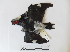 ( - Seq33_Melanerpes_formicivorus)  @12 [ ] Unspecified (default): All Rights Reserved  Unspecified Unspecified