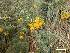  ( - FML-ANG-000001c)  @11 [ ] No Rights Reserved  Unspecified Unspecified