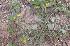  ( - FML-ANG-000028a)  @11 [ ] No Rights Reserved  Unspecified Unspecified
