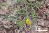  ( - FML-ANG-000028b)  @11 [ ] No Rights Reserved  Unspecified Unspecified
