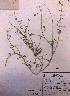  ( - FML-ANG-000028b)  @11 [ ] No Rights Reserved  Unspecified Unspecified