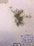  ( - FML-ANG-000011c)  @11 [ ] No Rights Reserved  Unspecified Unspecified