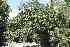  ( - FML-ANG-000013b)  @11 [ ] No Rights Reserved  Unspecified Unspecified