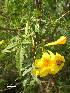  ( - FML-ANG-000021b)  @11 [ ] No Rights Reserved  Unspecified Unspecified