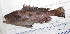 ( - B060724TP4)  @11 [ ] copyright © (2025) Houangninan Emmanuel Calebe MIDINOUDEWA Institut de Recherches Halieutiques et Oceanologiques du Benin