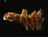 ( - 09BENTH080)  @13 [ ] CreativeCommons - Attribution (2011) BOLD Centre for Biodiversity Genomics