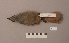  ( - UWBM 49730)  @13 [ ] Copyright (2008) Unspecified Burke Museum of Natural History and Culture