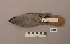  ( - UWBM 51860)  @13 [ ] Copyright (2008) Unspecified Burke Museum of Natural History and Culture