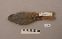  ( - UWBM 56793)  @13 [ ] Copyright (2008) Unspecified Burke Museum of Natural History and Culture