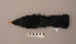  ( - UWBM 58057)  @14 [ ] Copyright (2008) Unspecified Burke Museum of Natural History and Culture