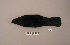  ( - UWBM 75747)  @14 [ ] Copyright (2008) Unspecified Burke Museum of Natural History and Culture