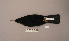  ( - UWBM 75747)  @13 [ ] Copyright (2008) Unspecified Burke Museum of Natural History and Culture
