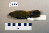  (Acrocephalus palustris - UWBM 61165)  @14 [ ] Copyright (2008) Unspecified Burke Museum of Natural History and Culture