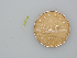  ( - BDA0224)  @11 [ ] Unspecified (default): All Rights Reserved  Unspecified Unspecified