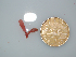  ( - BDA0029)  @11 [ ] Unspecified (default): All Rights Reserved  Unspecified Unspecified