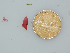  ( - BDA0199)  @11 [ ] Unspecified (default): All Rights Reserved  Unspecified Unspecified