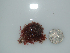  ( - BDA0512)  @11 [ ] Unspecified (default): All Rights Reserved  Unspecified Unspecified