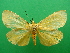  ( - KLM Lep 09092)  @11 [ ] CreativeCommons - Attribution Non-Commercial Share-Alike (2063) Christian Wieser Landesmuseum Kaernten