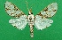  ( - KLM Lep 09143)  @11 [ ] CreativeCommons - Attribution Non-Commercial Share-Alike (2019) Christian Wieser Landesmuseum Kaernten