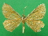  ( - KLM Lep 09237)  @11 [ ] CreativeCommons - Attribution Non-Commercial Share-Alike (2018) Christian Wieser Landesmuseum Kaernten