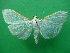  ( - KLM Lep 09321)  @11 [ ] CreativeCommons - Attribution Non-Commercial Share-Alike (2103) Christian Wieser Landesmuseum Kaernten