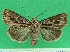  ( - KLM Lep 09504)  @11 [ ] CreativeCommons - Attribution Non-Commercial Share-Alike (2017) Christian Wieser Landesmuseum Kaernten