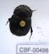  ( - CBF-Scarab-000498)  @12 [ ] No Rights Reserved  Unspecified Unspecified