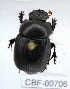  ( - CBF-Scarab-000706)  @12 [ ] No Rights Reserved  Unspecified Unspecified