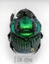  ( - CBF-Scarab-002141)  @12 [ ] Copyright (2011) CBF Coleccion Boliviana de Fauna