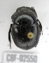  (Sylvicanthon - CBF-Scarab-002550)  @13 [ ] Copyright (2011) CBF Coleccion Boliviana de Fauna