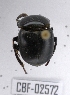  ( - CBF-Scarab-002572)  @12 [ ] Copyright (2011) CBF Coleccion Boliviana de Fauna