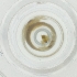  ( - EWTA_002_B4)  @11 [ ] by  Genome Research Ltd as Wellcome Sanger Institute Genome Research Limited operating as Wellcome Sanger Institute