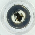  ( - EWTA_002_E1)  @11 [ ] by  Genome Research Ltd as Wellcome Sanger Institute Genome Research Limited operating as Wellcome Sanger Institute