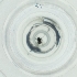  ( - EWTA_002_G5)  @11 [ ] by  Genome Research Ltd as Wellcome Sanger Institute Genome Research Limited operating as Wellcome Sanger Institute