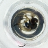  ( - EWTA_003_F10)  @11 [ ] by  Genome Research Ltd as Wellcome Sanger Institute Genome Research Limited operating as Wellcome Sanger Institute