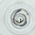  ( - EWTA_007_B4)  @11 [ ] by  Genome Research Ltd as Wellcome Sanger Institute Genome Research Limited operating as Wellcome Sanger Institute