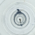  ( - EWTA_007_C2)  @11 [ ] by  Genome Research Ltd as Wellcome Sanger Institute Genome Research Limited operating as Wellcome Sanger Institute