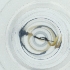  ( - EWTA_007_G4)  @11 [ ] by  Genome Research Ltd as Wellcome Sanger Institute Genome Research Limited operating as Wellcome Sanger Institute