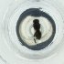  ( - EWTA_008_A2)  @11 [ ] by  Genome Research Ltd as Wellcome Sanger Institute Genome Research Limited operating as Wellcome Sanger Institute