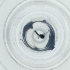  ( - EWTA_013_E7)  @11 [ ] by  Genome Research Ltd as Wellcome Sanger Institute Genome Research Limited operating as Wellcome Sanger Institute