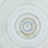  ( - EWTA_015_E3)  @11 [ ] by  Genome Research Ltd as Wellcome Sanger Institute Genome Research Limited operating as Wellcome Sanger Institute