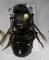  ( - CCDB-15281 E11)  @11 [ ] CreativeCommons - Attribution Non-Commercial Share-Alike (2011) Packer Collection York University York University