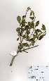  ( - LTM008)  @11 [ ] No Rights Reserved  Unspecified Unspecified