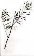  ( - OM1207)  @11 [ ] No Rights Reserved  Unspecified Unspecified