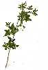 ( - OM1221)  @11 [ ] No Rights Reserved  Unspecified Unspecified
