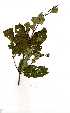  ( - RL1659)  @11 [ ] No Rights Reserved  Unspecified Unspecified